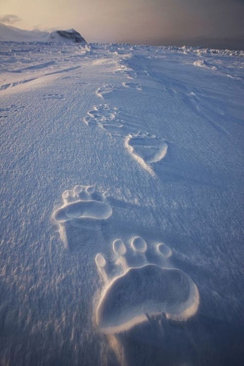 飘雪·冬天的记忆