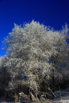 pumayze采集到冰雪松花湖