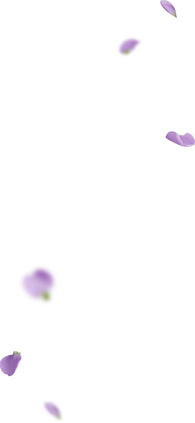 薰衣草1