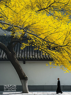 漩涡/xuanwo采集到未命名画板(2)