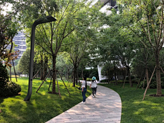Emily&Emily采集到居住区植物意向