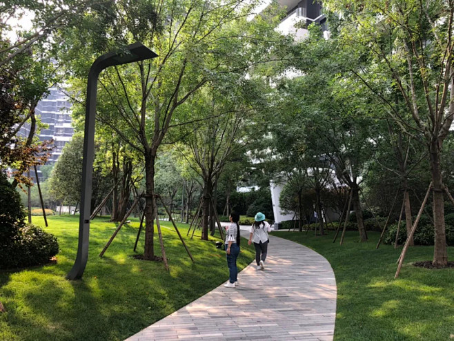 园路植物
瀚海睛宇（大区）