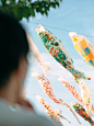 青空の鯉