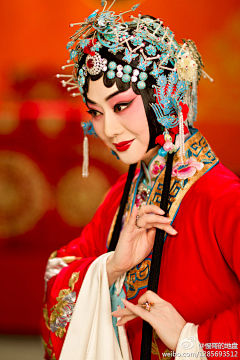 普陀南星采集到服饰