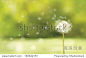 vector of spring background...