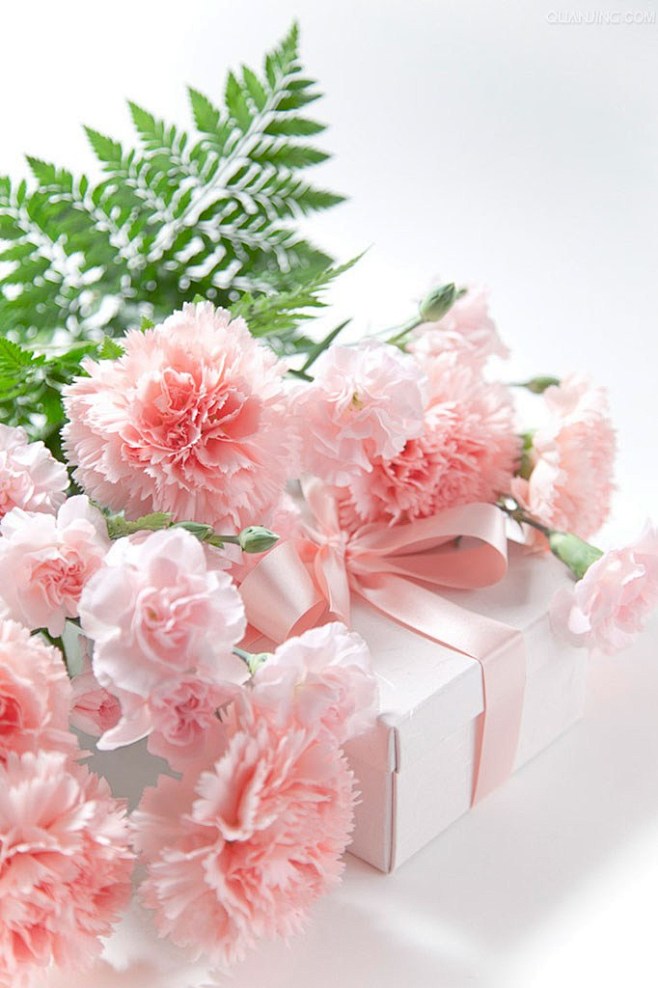 #母亲节# #粉色# #康乃馨# #花朵...