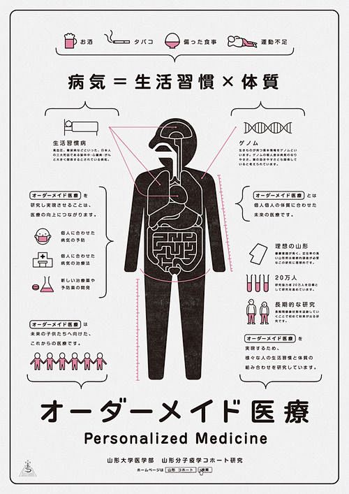 Japanese Infographic...