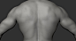Animation Ready Body Scan / Male 02 : This retopologised animation ready male 3d body model comes with everything you need to create a highly detailed character. Including 6 subdivision Zbrush subtool with 16k texture maps and exported FBX models for comp