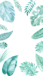 植物素材png