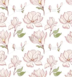 无缝图案，手绘白玉兰花。