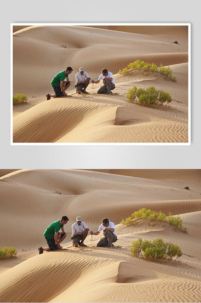 沙漠三个人研究砂子图片