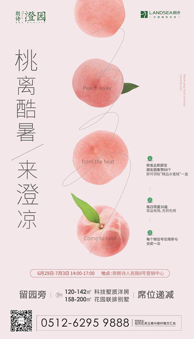 送猕猴桃 送礼单图