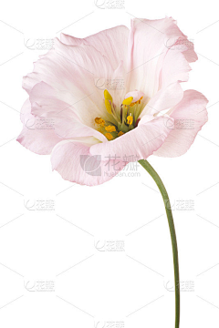 sue_简语采集到花花绿绿