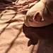 ABiu6