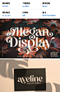 Megan Display复古优雅花式现代品牌logo婚礼海报装饰英文字体-淘宝网