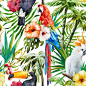 热带鹦鹉植物花朵图片