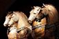 wasbella102:


The Magnificent bronze Horses of St. Mark’s Basilica. Venice.

