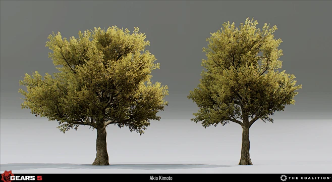 Oak Trees图片_设定_植物图片素材-花瓣网