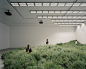 Indoor Installation of 10,000 Plants Considers Relationship Between Endangered Australian Grasslands and Architecture : For Australia's Venice Architecture Biennale pavilion, curators Mauro Baracco and Louise Wright, of Baracco+Wright Architects worked wi