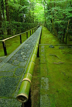 单恋丶放弃采集到风景