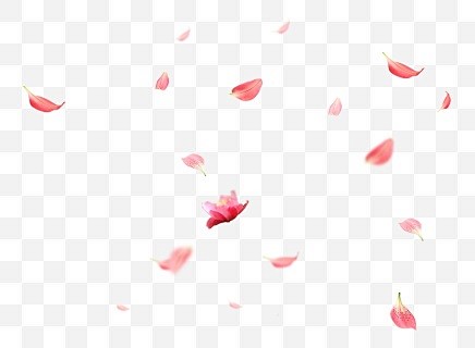 【玫瑰花瓣】玫瑰花瓣素材_最新玫瑰花瓣图...