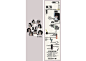 Bi-Fold Curriculum Vitae