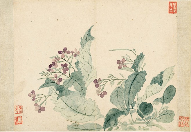 古画-花卉参考