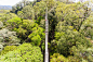 Ulu Temburong Narional Park