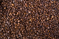 Brown Cocoa