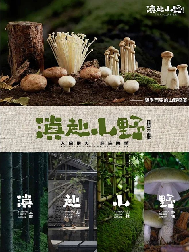 品牌设计|滇赴山野云南菜 餐饮品牌设计 ...