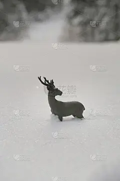 圣诞鹿的身影在雪地里与冬天的森林。冬天的季节。圣诞节的时候