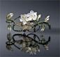 玻璃雕刻界的罗丹 René Lalique 珠宝艺术赏René Lalique赫奈.拉里科的珠宝 #采集大赛#