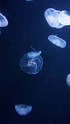 【高清手机壁纸。风景美图。城市风光摄影。设计灵感。桌面锁屏。】❤️