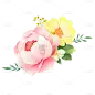 黄粉色绿叶花朵花丛元素