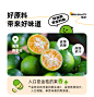 金豆芽金桔鲜橙梨膏210g老人小孩秋梨膏办公室分享养生零食桶装-tmall.com天猫