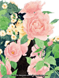 中島梨絵_百度图片搜索