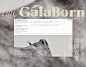 2. LOGO规范 | GALABORN品牌识别手册