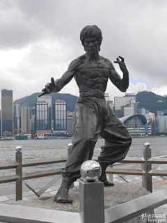 风云画者采集到Bruce Lee