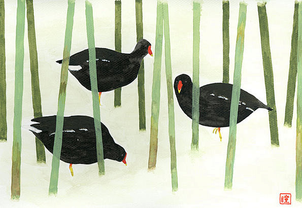 井上瞳插画作品欣赏