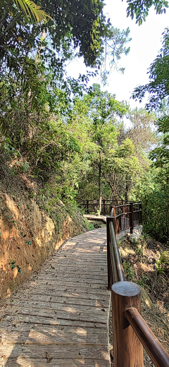 lioyia采集到乡村景观
