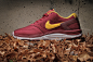   Nike SB Lunar Rod Team Red/White-University Gold