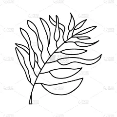 叶子,热带气候,棕榈树,轮廓线画,线条画,铅笔,简单,现代,春天