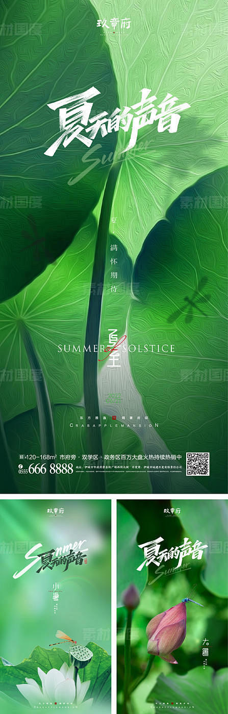  夏至 小暑 大暑 处暑 荷叶 荷花 蜻...