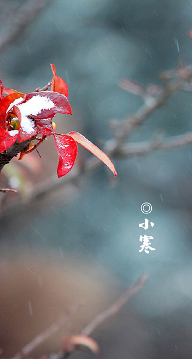 岁月静好，芬芳过往，给时光一份浅浅的回眸...