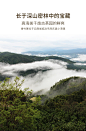 澜沧古茶2022年香竹箐云南高山普洱茶生茶生普散茶茶叶礼盒装500g-tmall.com天猫