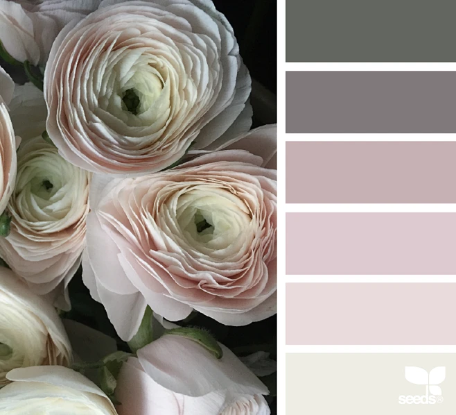 ranunculus mood
