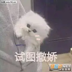 狗 表情包_百度图片搜索