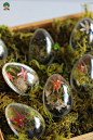 可爱有趣的复活节彩蛋植物饲养箱DIY制作图片教程