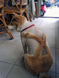 狗的背带裤