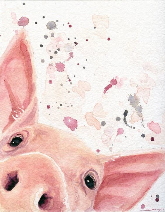 Pig Art Pig Canvas G...
